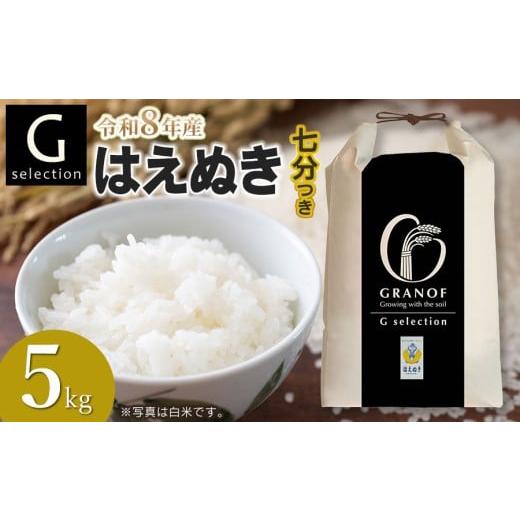 ふるさと納税 米 はえぬき 山形県 鶴岡市 令和8年産先行予約 Gセレクション はえぬき 5kg(5kg×1) 七分つき 山形県鶴岡市産 株式会社グラノフ 七分つき