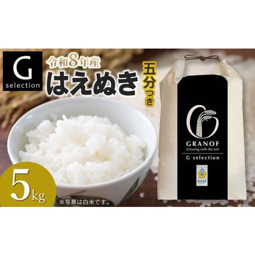 ふるさと納税 米 はえぬき 山形県 鶴岡市 令和8年産先行予約 Gセレクション はえぬき 5kg(5kg×1) 五分つき 山形県鶴岡市産 株式会社グラノフ 五分つき