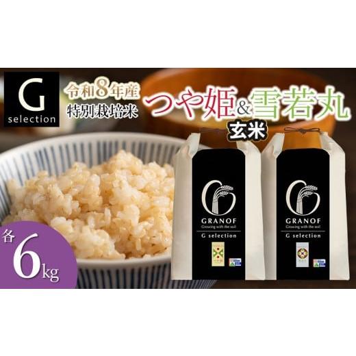 ふるさと納税 米 つや姫 山形県 鶴岡市 令和8年産先行予約 特別栽培米 Gセレクション つや姫・雪若丸 玄米 各6kg×1袋 (合計12kg) 食べ比べセット 山形県鶴岡…