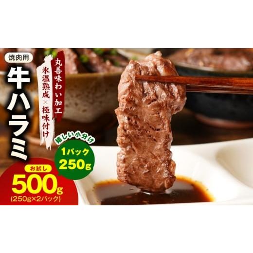 ふるさと納税 牛肉 ホルモン 大阪府 泉佐野市 お試し 牛肉 ハラミ 500g(250g×2P) 氷温熟成×極味付け