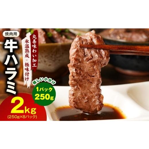 ふるさと納税 牛肉 ホルモン 大阪府 泉佐野市 氷温熟成×極味付け 牛肉 ハラミ 2kg(250g×8P)