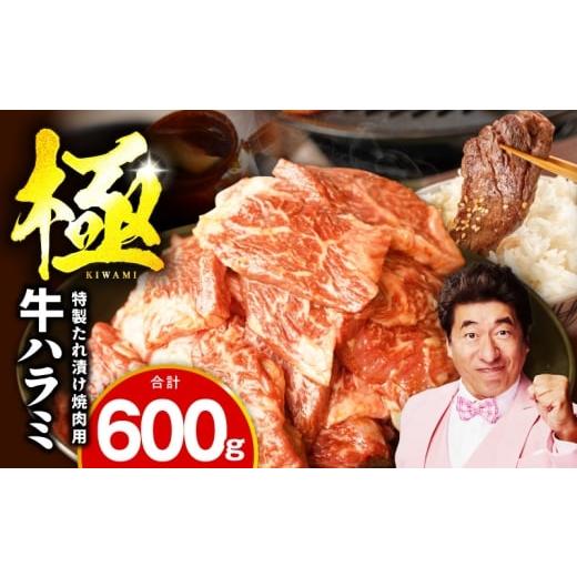 ふるさと納税 牛肉 ホルモン 大阪府 泉佐野市 お試し 牛肉 ハラミ 600g(300g×2P) 氷温熟成×特製ダレ