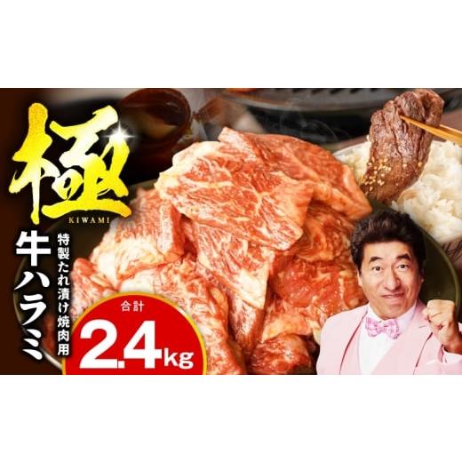 ふるさと納税 牛肉 ホルモン 大阪府 泉佐野市 氷温熟成×特製ダレ 牛肉 ハラミ 2.4kg(300g×8P)