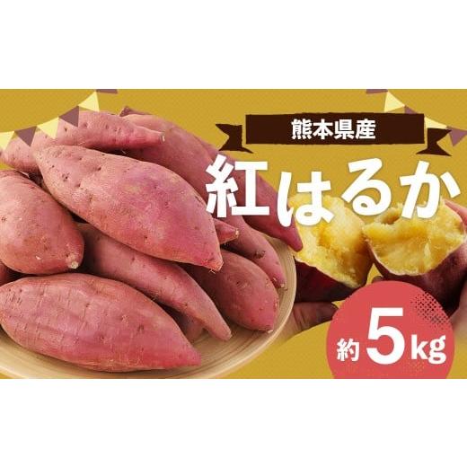 ふるさと納税 野菜類 サツマイモ 熊本県 益城町 熊本県産 紅はるか 約5kg べにはるか さつまいも サツマイモ さつま芋 お芋 芋 2026年3月下旬まで発送予定