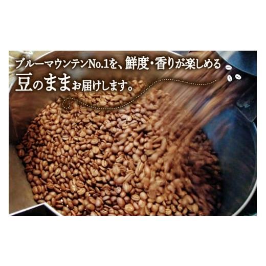 ふるさと納税 コーヒー コーヒー豆 福岡県 筑紫野市  6回定期便 コーヒー豆 ブルーマウンテン 100g 3パック 珈琲Chiba 福岡県 筑紫野市 21761421 コーヒー 珈…の画像