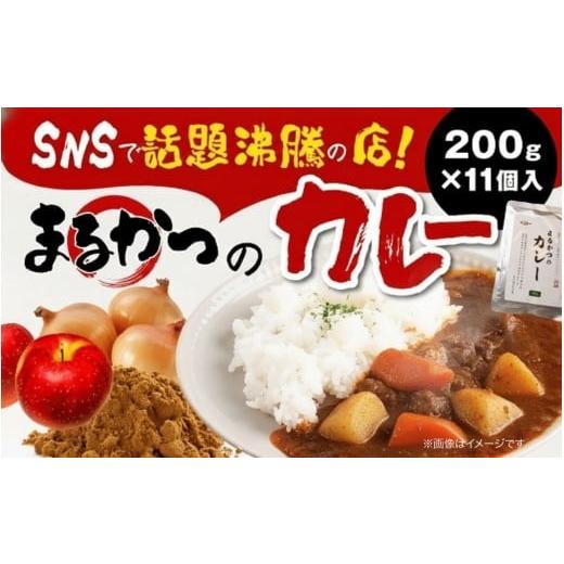 ふるさと納税 加工品等 レトルト 奈良県 奈良市 カレー レトルト 野菜入り 200g×11個入 レトルトカレー 野菜 野菜入りカレー やさい かれー レトルト食品 小…