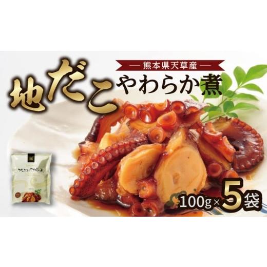 ふるさと納税 惣菜・レトルト 冷凍 熊本県 天草市 S006-018_地だこやわらか煮