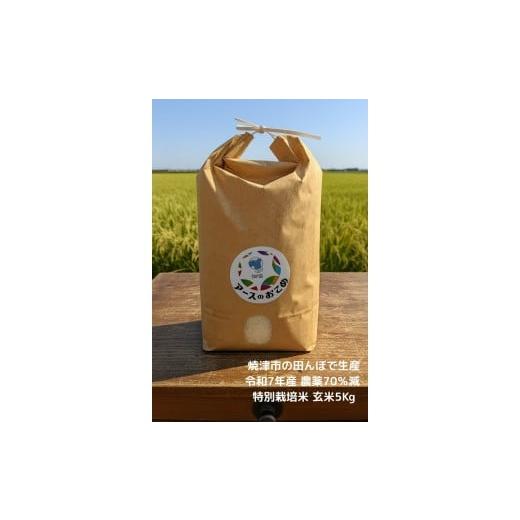 ふるさと納税 玄米 静岡県 焼津市 a21-084 令和7年産 アースのおこめ 農薬70%減 特別栽培米 玄米5Kg