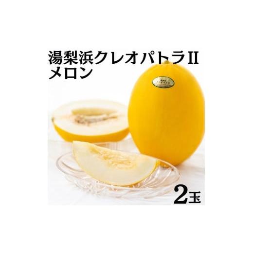 ふるさと納税 メロン 鳥取県 湯梨浜町 20MS. 2026年先行受付 湯梨浜クレオパトラIIメロン2玉