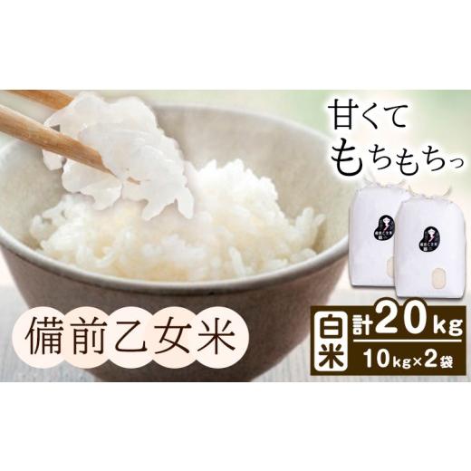 ふるさと納税 米 岡山県 浅口市 米 こめ コメ 備前乙女米 白米 20kg 石原果樹園《30日以内に出荷予定（土日祝除く）》岡山県 浅口市 ご飯 お米 国産 岡山県産 …_1