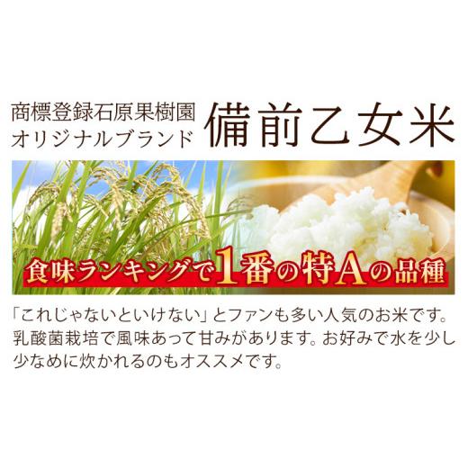 ふるさと納税 米 岡山県 浅口市 米 こめ コメ 備前乙女米 白米 20kg 石原果樹園《30日以内に出荷予定（土日祝除く）》岡山県 浅口市 ご飯 お米 国産 岡山県産 …_3