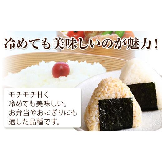 ふるさと納税 米 岡山県 浅口市 米 こめ コメ 備前乙女米 白米 20kg 石原果樹園《30日以内に出荷予定（土日祝除く）》岡山県 浅口市 ご飯 お米 国産 岡山県産 …_4