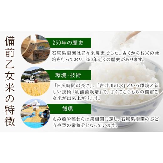 ふるさと納税 米 岡山県 浅口市 米 こめ コメ 備前乙女米 白米 20kg 石原果樹園《30日以内に出荷予定（土日祝除く）》岡山県 浅口市 ご飯 お米 国産 岡山県産 …_5