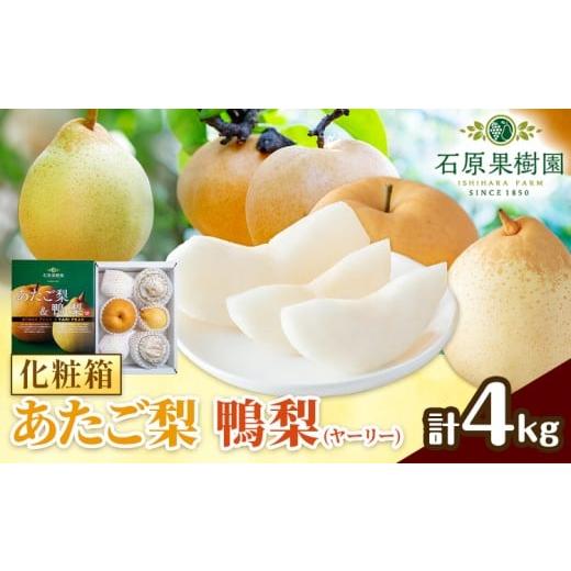 ふるさと納税 梨 岡山県 浅口市 先行予約 梨 なし 梨 旬 あたご梨 鴨梨 詰め合わせ 計約4kg 化粧箱 石原果樹園 [11月中旬-12月下旬頃より発送予定]岡山県 …