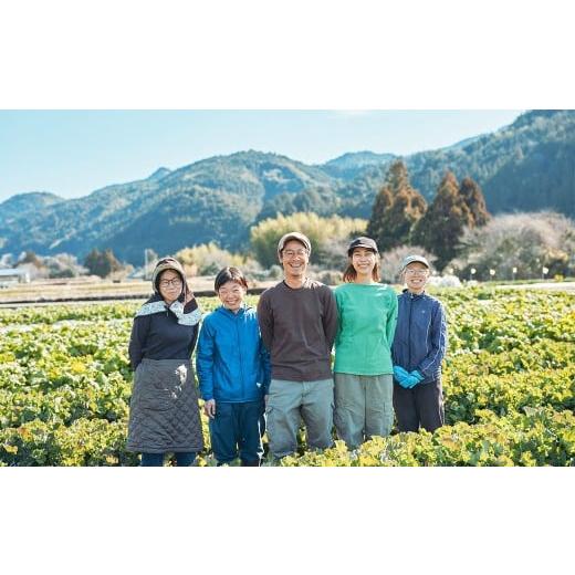 ふるさと納税 果汁飲料 にんじん 高知県 香美市 完熟 冬にんじんジュース 720ml×6本 （計4320ml） 2026年2月上旬〜8月下旬迄発送予定 人参 にんじん ニンジン…の画像
