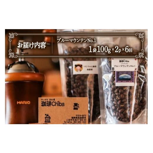 ふるさと納税 コーヒー コーヒー豆 福岡県 筑紫野市  6回定期便 コーヒー豆 ブルーマウンテン 100g 2パック 珈琲Chiba 福岡県 筑紫野市 21761424 コーヒー 珈…の画像