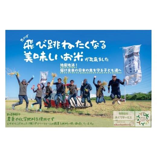 ふるさと納税 米 愛知県 大府市 栽培期間中農薬化学肥料不使用 おおぶニック学校給食米 精米5kg