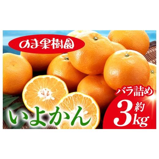 ふるさと納税 果物類 みかん 愛媛県 今治市 先行予約 いよかんバラ詰め(3kg) K003660K3 人気商品 国産 高級フルーツ 人気商品 みかん 柑橘 フルーツ 果物 …