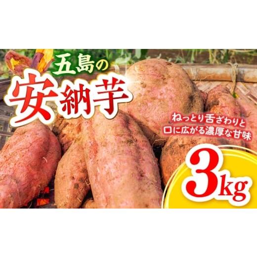 ふるさと納税 野菜類 サツマイモ 長崎県 五島市 潮風と火山灰土が育てた島さつまいも『安納芋』3kg 五島市/あわたに農園
