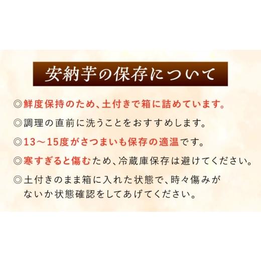 ふるさと納税 野菜類 サツマイモ 長崎県 五島市  2026年11月より発送 潮風と火山灰土が育てた島さつまいも『安納芋』5kg 五島市／あわたに農園 PGO006の画像