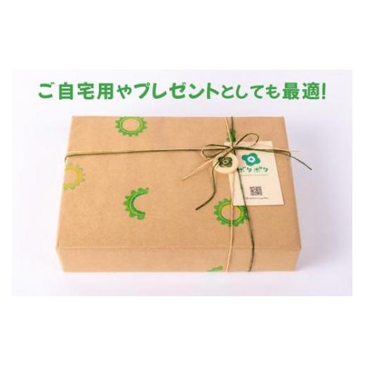 ふるさと納税 食器・グラス 皿 沖縄県 豊見城市 ゴーヤーの3点食器セット（ハーフ）｜食器 やちむん 皿 箸置き 沖縄県 豊見城市（DD025）の画像