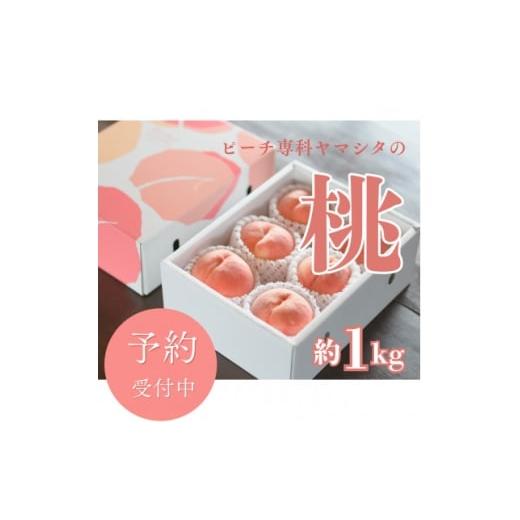 ふるさと納税 もも 山梨県 山梨市 先行受付 2026年7月発送開始 桃の産地山梨からお届け ピーチ専科ヤマシタの桃 1kg 1707808