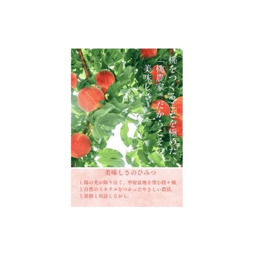 ふるさと納税 もも 山梨県 山梨市  2026年7月発送開始 桃の産地山梨からお届け ピーチ専科ヤマシタの桃 1kg 1707808の画像