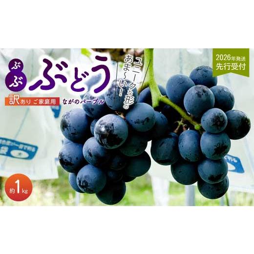 ふるさと納税 果物類 ぶどう 広島県 三原市 [2026年夏頃発送・先行受付] ひのきファームランド 訳あり ぶぶナガノパープル 1kg ぶどう 果物 フルーツ 233002