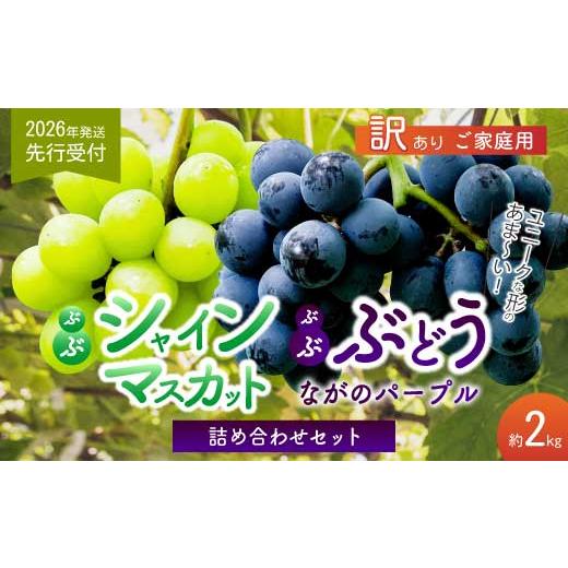 ふるさと納税 果物類 ぶどう 広島県 三原市 [2026年夏頃発送・先行受付] ひのきファームランド 訳あり ぶぶぶどう詰め合わせ2kg ブブシャインマスカット 1kg…