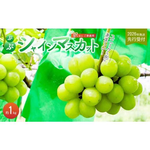 ふるさと納税 ぶどう マスカット 広島県 三原市 [2026年夏頃発送・先行受付] ひのきファームランド 訳あり ぶぶシャインマスカット 1kg ぶどう マスカット …