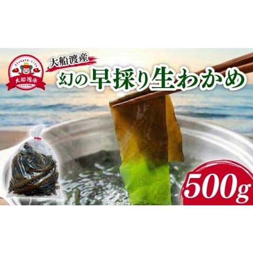 ふるさと納税 のり・海藻 わかめ 岩手県 大船渡市 2月までの期間限定 早採り生わかめ 新物 500g 期間限定 2026年1月〜発送予定 わかめ 早採りわかめ 生わかめ…