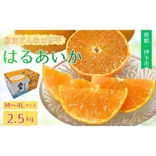 ふるさと納税 みかん・柑橘類 愛媛県 伊予市 みかん 愛媛 はるあいか 愛果48号 2.5kg M〜4Lサイズ 2026年3月〜順次発送予定 人気 数量限定 柑橘 伊予市|