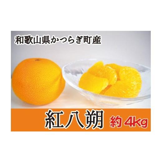 ふるさと納税 みかん・柑橘類 和歌山県 かつらぎ町 甘酸っぱさ、はじける。かつらぎの紅八朔 約4kg 2026年2月中旬〜2026年2月下旬お届け予定 /はっさく 柑…