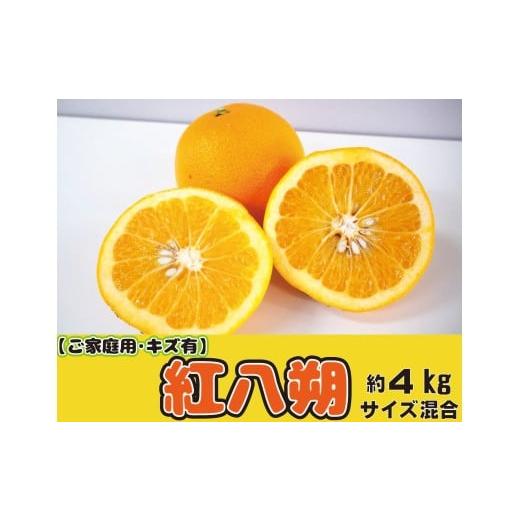 ふるさと納税 みかん・柑橘類 和歌山県 かつらぎ町 家庭用 甘酸っぱさ、はじける。かつらぎの紅八朔 約4kg 2026年2月中旬〜2026年2月下旬お届け予定 /は…