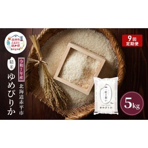 ふるさと納税 米 ゆめぴりか 北海道 赤平市 令和7年産 北海道 赤平産 ゆめぴりか 5kg 限定寄附額 9ヵ月連続お届け 白米 精米 米 北海道 ごはん ご飯 ライス お…