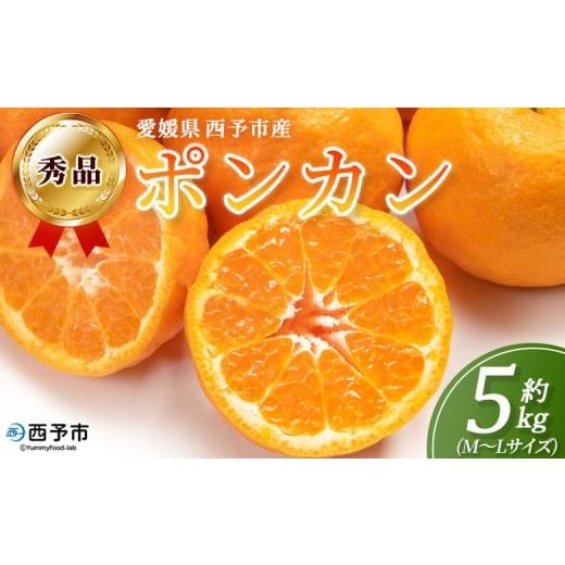 ふるさと納税 果物類 みかん 愛媛県 西予市 秀品 ポンカン (M〜Lサイズ) 約5kg 蜜柑 ミカン みかん 果物 フルーツ 柑橘 ぽんかん 西宇和 果汁 ジューシー 果…