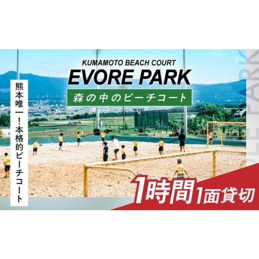 ふるさと納税 体験チケット 熊本県 菊陽町 エボレパーク 1面1時間利用 利用券 ビーチスポーツ ビーチバレー ビーチサッカー スクール ダイエット 運動 レクリ…