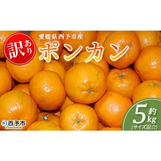ふるさと納税 果物類 みかん 愛媛県 西予市 訳あり ポンカン (サイズ混合) 約5kg 蜜柑 ミカン みかん 果物 フルーツ 柑橘 ぽんかん 西宇和 果汁 ジューシー …