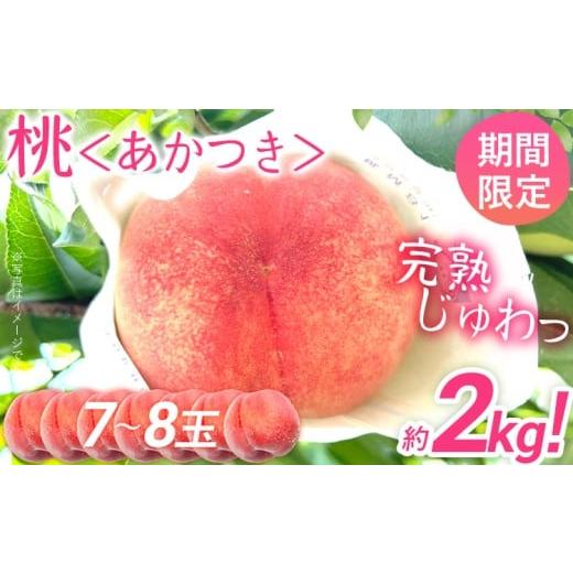 ふるさと納税 もも 福岡県 みやこ町 桃 あかつき 先行予約 数量限定 約2kg(7〜8玉) 農家直送 樹上完熟 完熟 果汁 もも モモ 果物 フルーツ 甘い ジューシー …