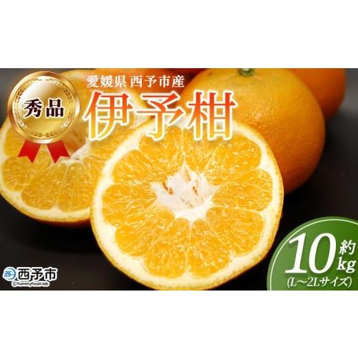 ふるさと納税 果物類 みかん 愛媛県 西予市 秀品 伊予柑 (L〜2Lサイズ) 約10kg 蜜柑 ミカン みかん 果物 フルーツ 柑橘 いよかん 宮内伊予柑 西宇和 果汁 ジ…