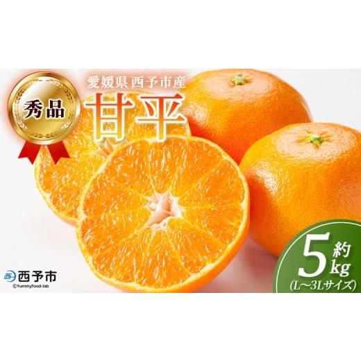 ふるさと納税 果物類 みかん 愛媛県 西予市 秀品 甘平 (L〜3Lサイズ) 約5kg 蜜柑 ミカン みかん 果物 フルーツ 柑橘 かんぺい 果汁 ジューシー 果肉 国産 愛…