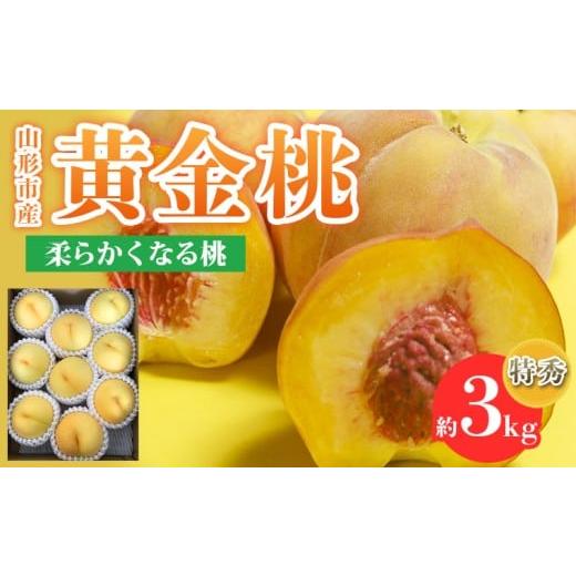ふるさと納税 もも 山形県 山形市 山形市産 黄金桃 特秀品 柔らかくなる桃 3kg(7〜13玉) 令和8年産先行予約 FS25-147