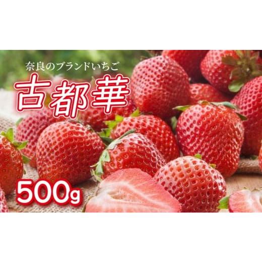ふるさと納税 いちご 奈良県 奈良市 いちご ことか 500g 古都華 L~2L 数量限定 季節限定 苺 家庭用 いちご フルーツ 果物 デザート スイーツ 奈良県 奈良市 fu…