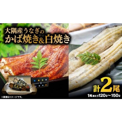 ふるさと納税 うなぎ 鹿児島県 鹿屋市 大隅産うなぎのかば焼き 1尾・白焼き 1尾 KN174-003