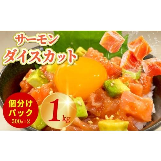 ふるさと納税 魚貝類 サーモン 大阪府 泉佐野市 サーモン ダイスカット 合計1kg 小分け 500g×2P 海鮮丼 人気 オススメ 小分け 冷凍 簡単調理 一人暮らし 東洋…