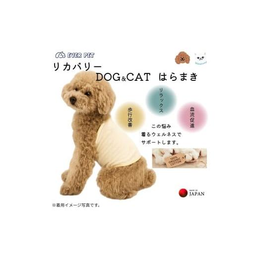 ふるさと納税 雑貨・日用品 大阪府 豊中市 着るだけ 歩行サポート リラクゼーション オーガニックコットン 柔らかい ペット腹巻 Mサイズ Mサイズ