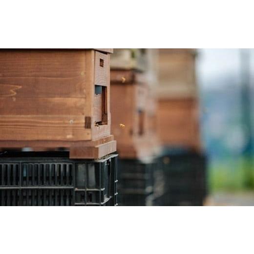 ふるさと納税 加工品等 はちみつ 埼玉県 さいたま市 埼玉県産はちみつ200g×3個  11100-2251の画像