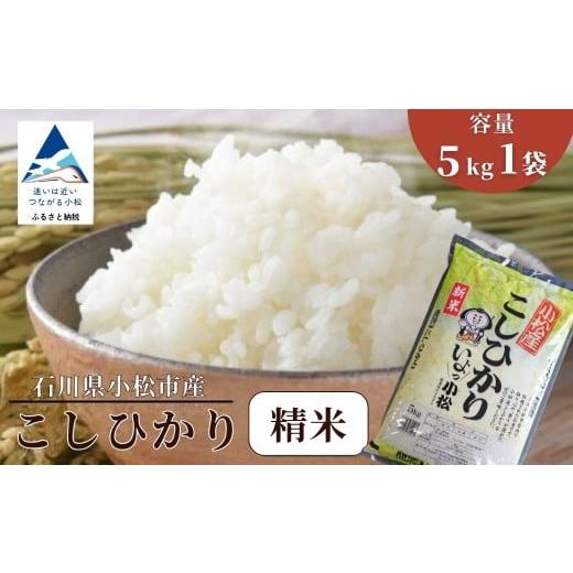 ふるさと納税 米 コシヒカリ 石川県 小松市 先行予約 令和8年産 小松市産 こしひかり 精米 5kg 米 小松市産コシヒカリ | 石川県 小松市 JA小松市 5kg