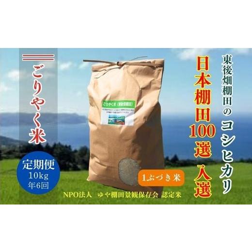 ふるさと納税 米 コシヒカリ 山口県 長門市 令和7年度産 ごりやく米 東後畑棚田こしひかり 1ぶづき米10kg 定期便 年6回 毎月配送 棚田米 長門市 コシヒカリ こ…