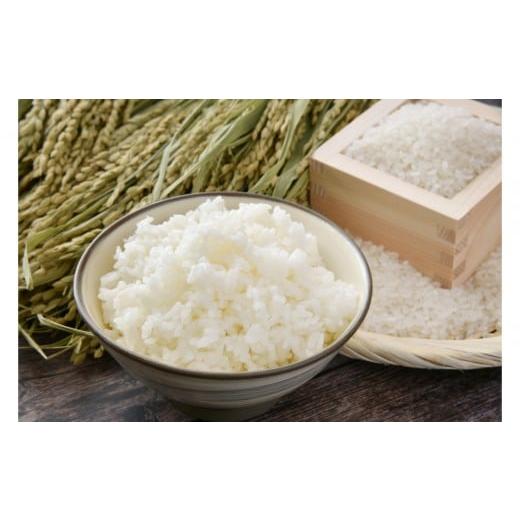 ふるさと納税 米 コシヒカリ 栃木県 日光市 日光ダイヤ舞1年目 白米5キロ 有機栽培農薬不使用コシヒカリ 令和7年度米